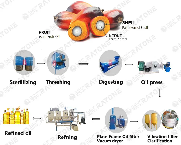 Palm Oil Extraction Machine Co - مراجعة Home Cooking Oil Making Machine وسعره