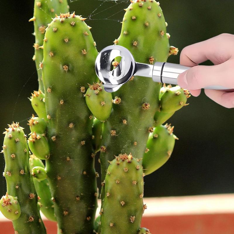 Home Kitchen Tool Peeler Multi - مراجعة Home Cooking Services وسعره