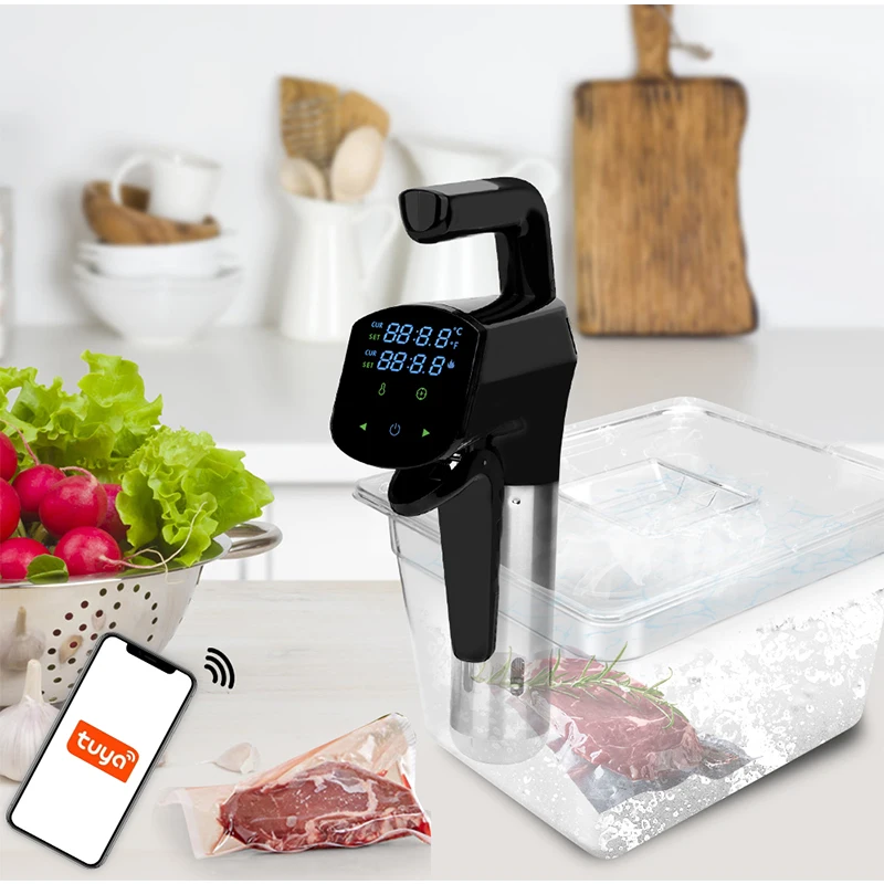 110V/220V Commercial Sous Vide - مراجعة Home Cooking Machine وسعره